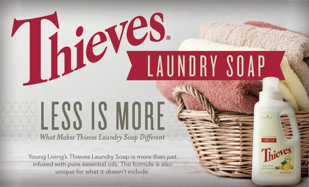 Article Headers Thieves Laundry Soap