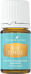 Blue Cypress - Young Living Essential Oil