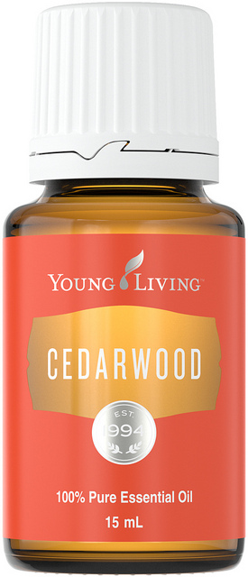 Cedarwood - Young Living Essential Oil