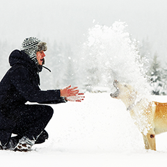 Help Your Dog Weather Winter