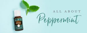 All about peppermint