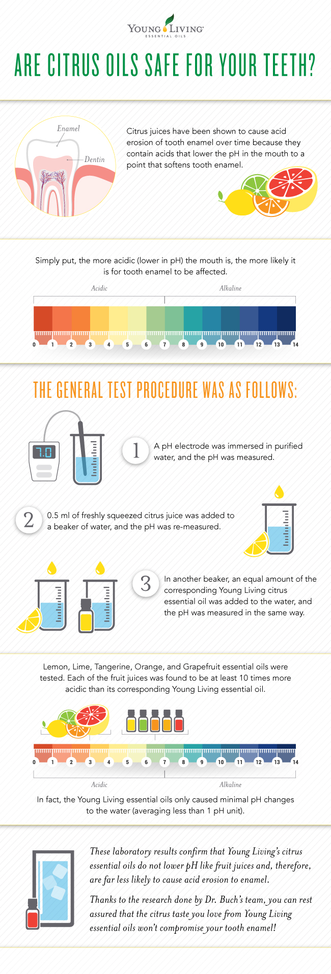 Blog-Citrus-Enamel_Infographic_US (3)