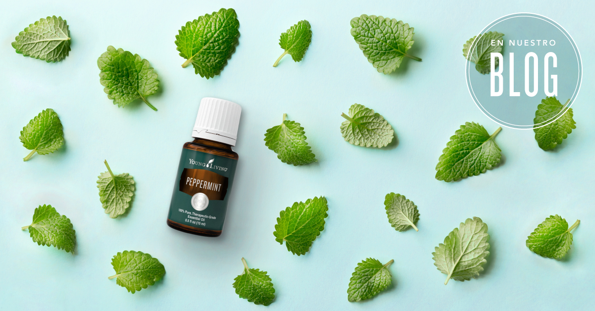 How to use Peppermint Essential Oil Young Living Blog