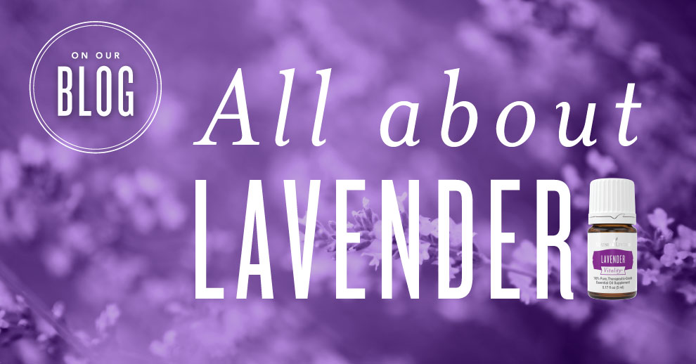 All About Lavender Essential Oil