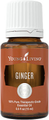 Ginger Essential Oil