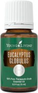 Minyak Esensial Eucalyptus Globulus