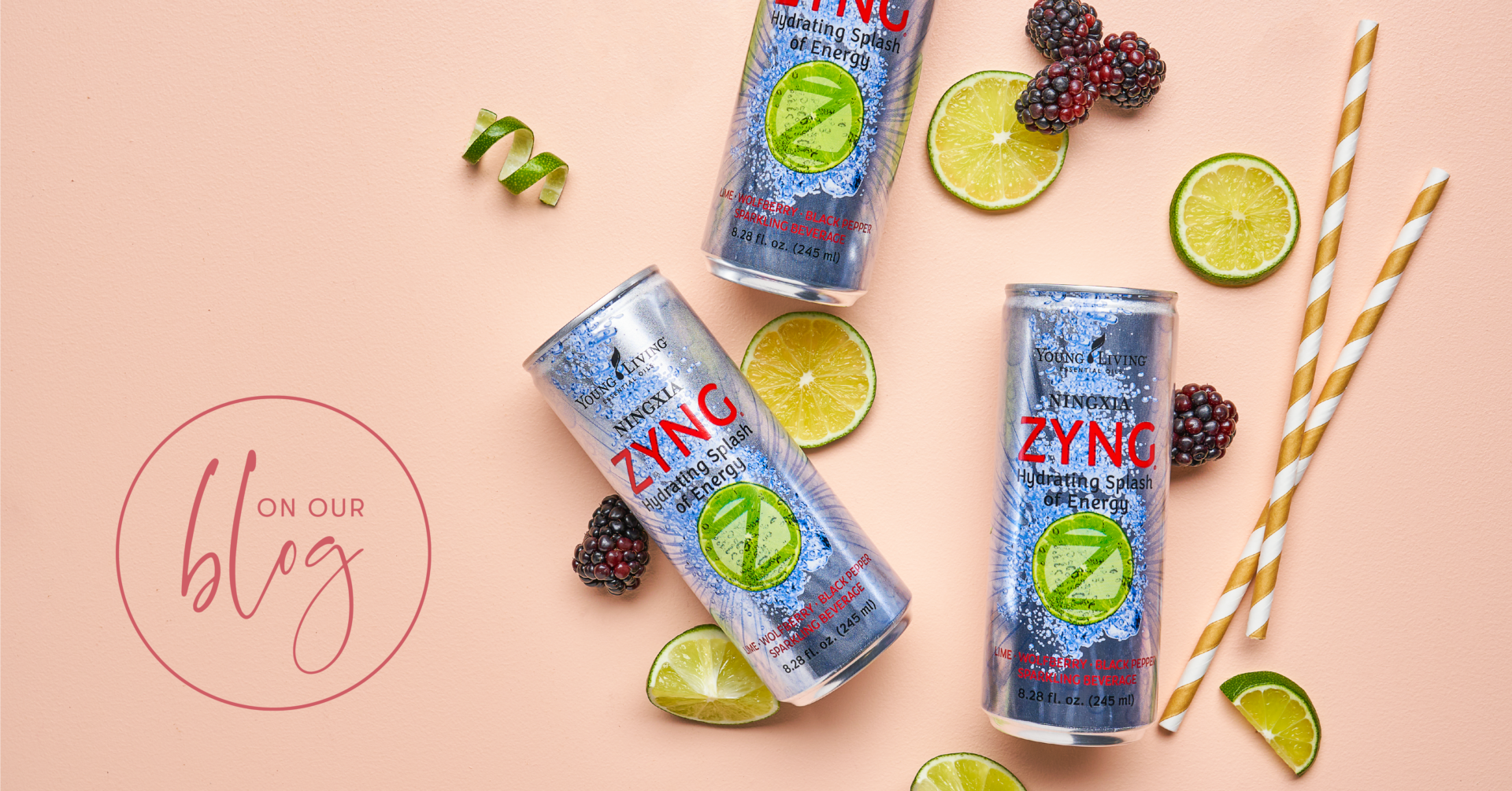 NingXia Zyng Benefits and Featured Recipes