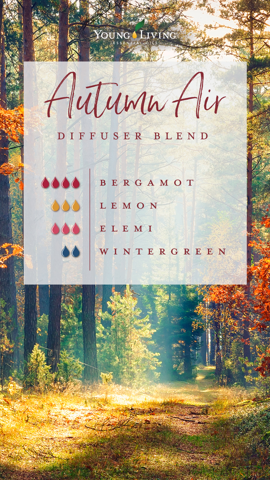 7 Best Essential Oil Diffuser Blends Perfect for the Fall