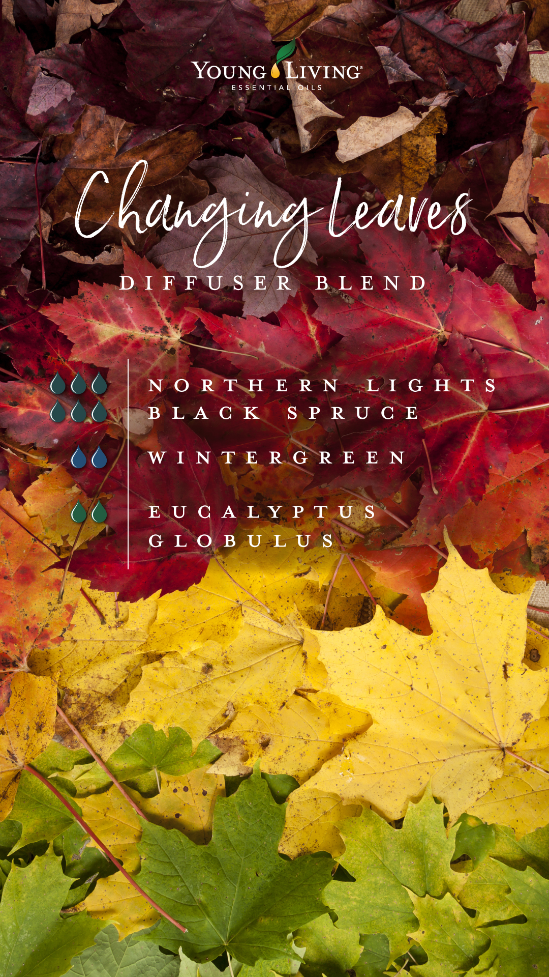 DIY autumn essential oil blends