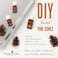DIY Pine Cones