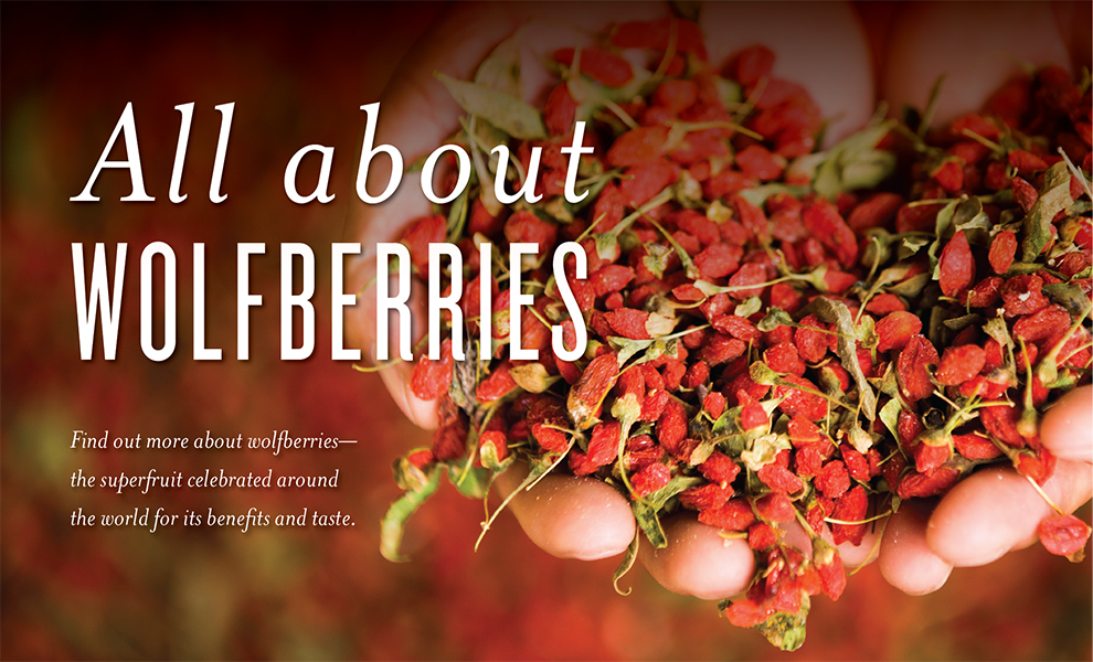 All About Wolfberries Header