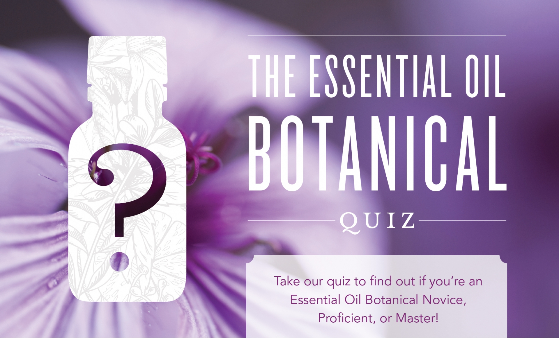 The Essential Oil Botanical Quiz Young Living Blog