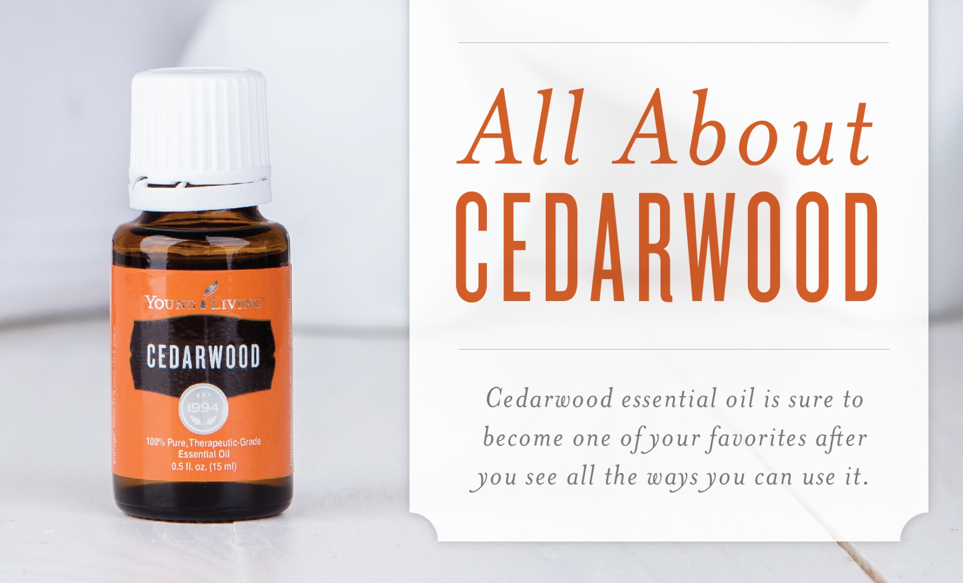 Cedar Oil Essential Oil And Its Uses Young Living Blog