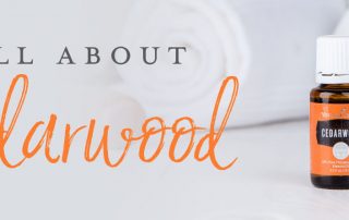 All About Cedarwood essential oil