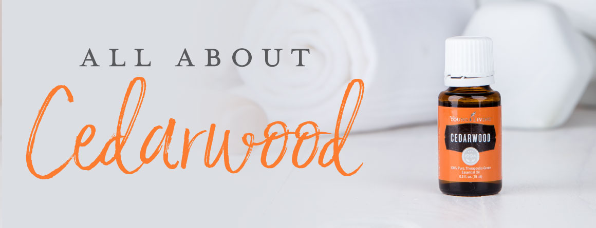 Cedarwood essential oil