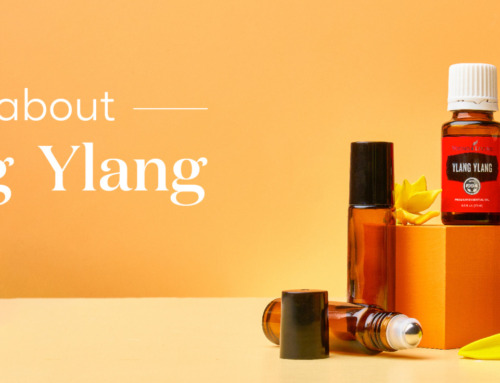 All about Ylang Ylang essential oil