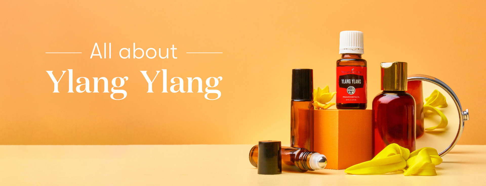 Ylang Ylang Essential Oil Uses Benefits Young Living Blog