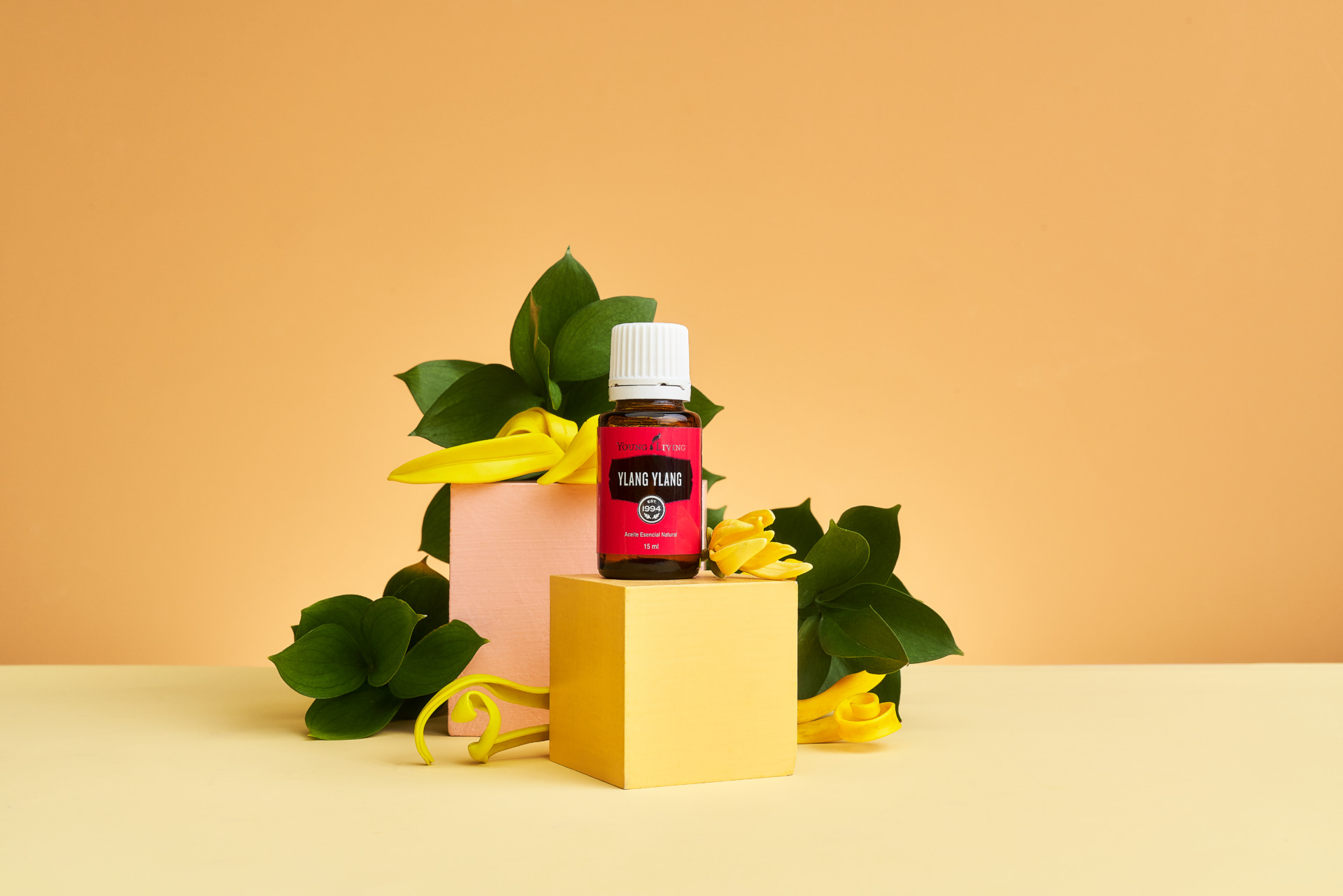 Ylang Ylang Essential Oil Uses Benefits Young Living Blog