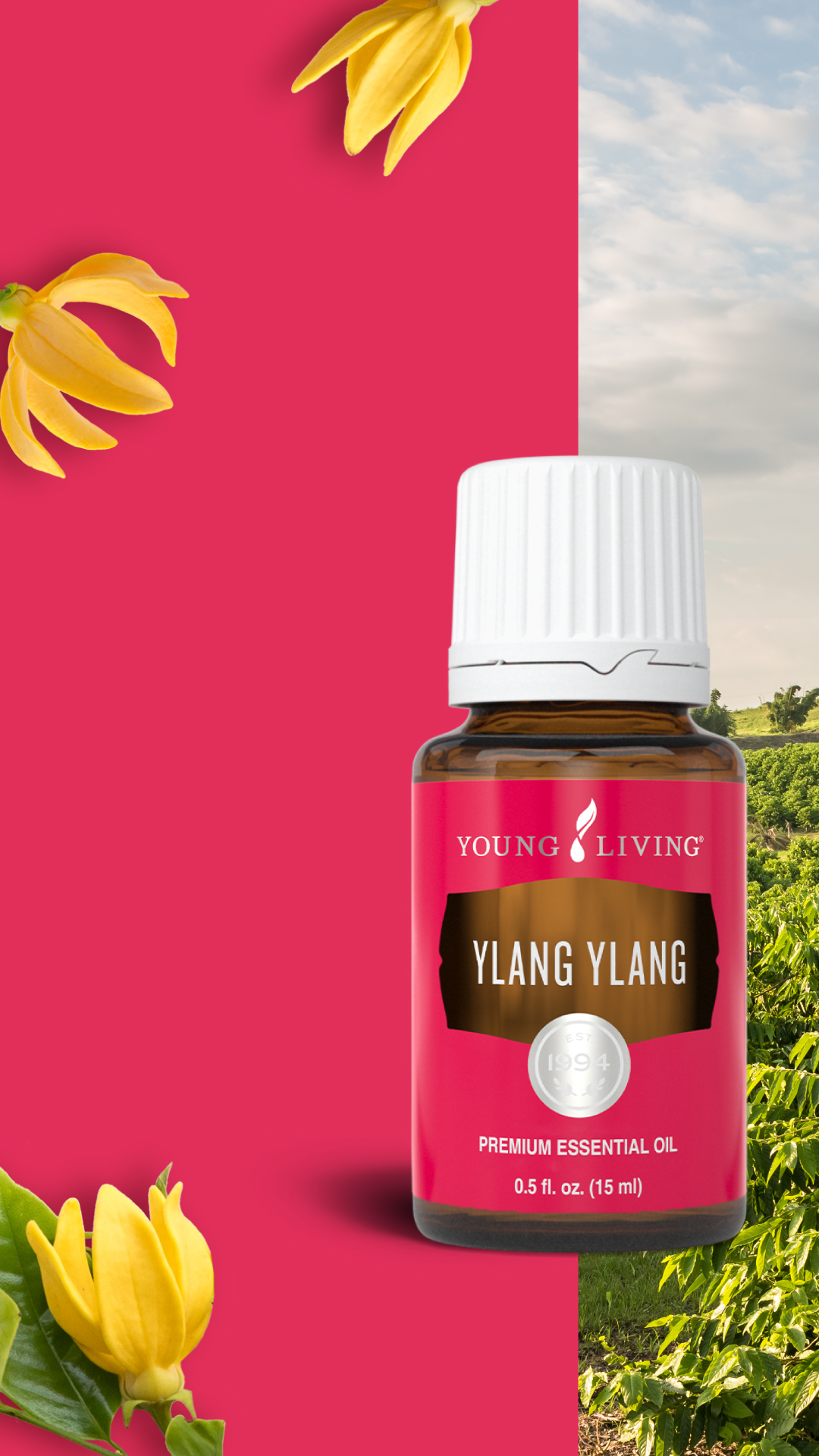 Doterra Ylang Ylang Essential Oil - 15 ml