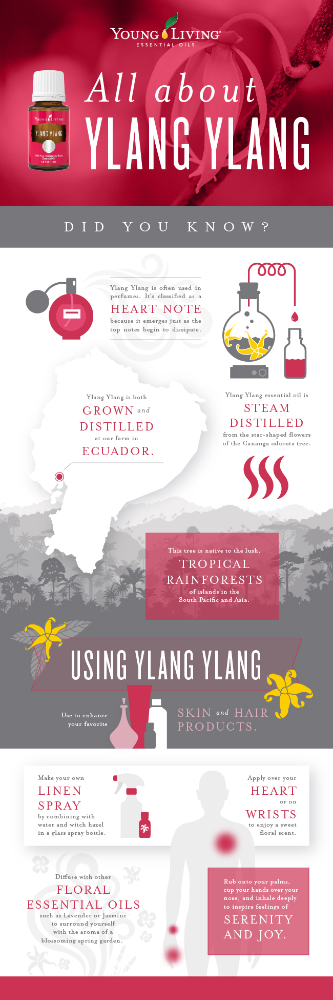 Ylang Ylang Oil Uses Young Living Blog