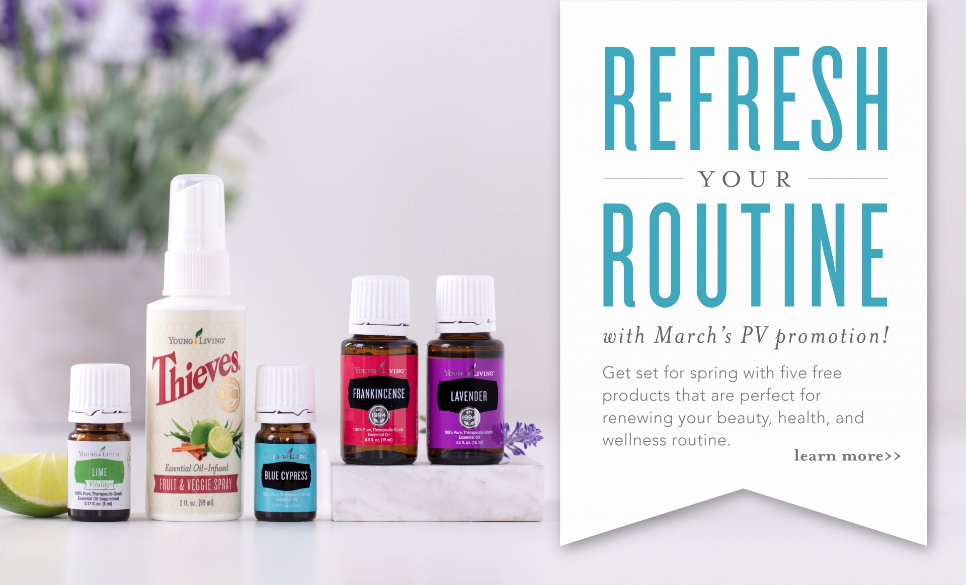Young Living Essential Oils Blog