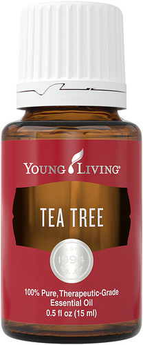 Minyak esensial tea tree