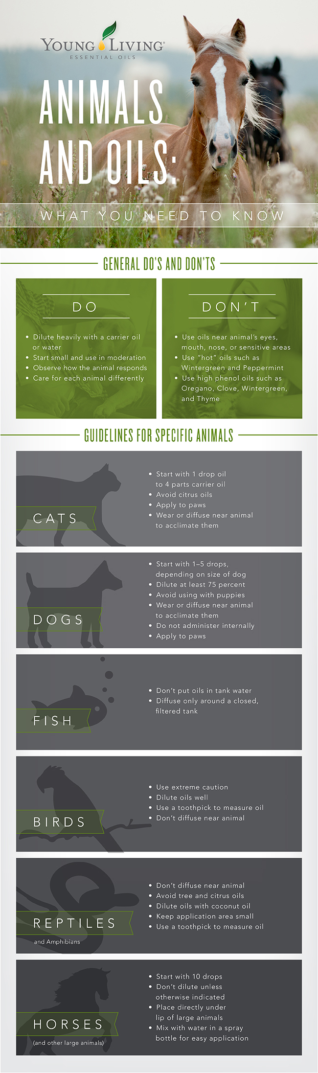 Pets and Animals Infographic - Young Living