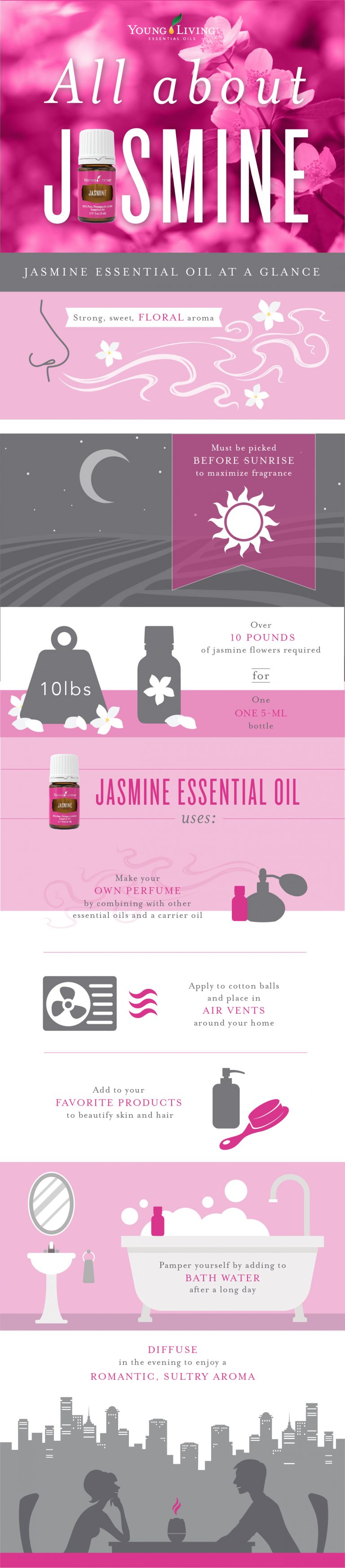Infographic All about Jasmine oil Young Living Blog