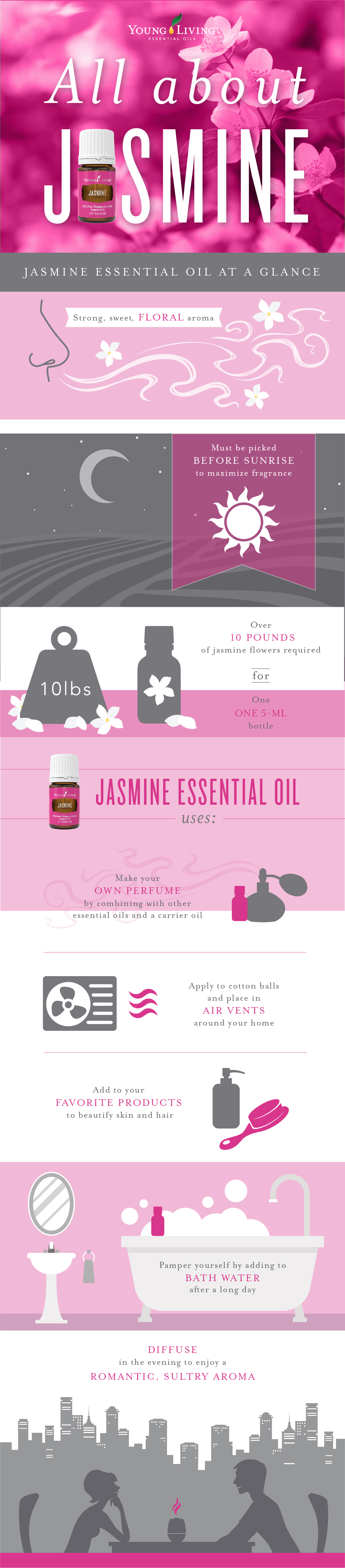 All About Jasmine Infographic