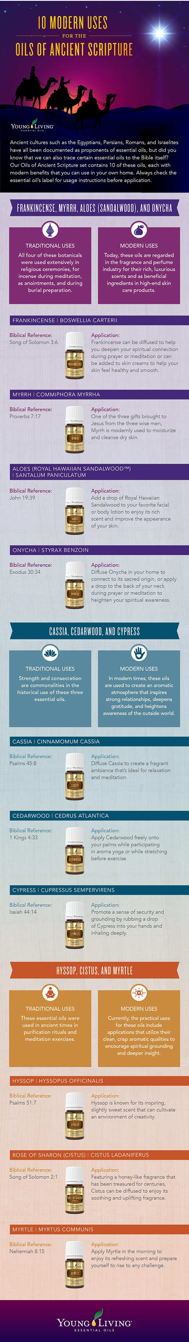 Biblical Oils Infographic