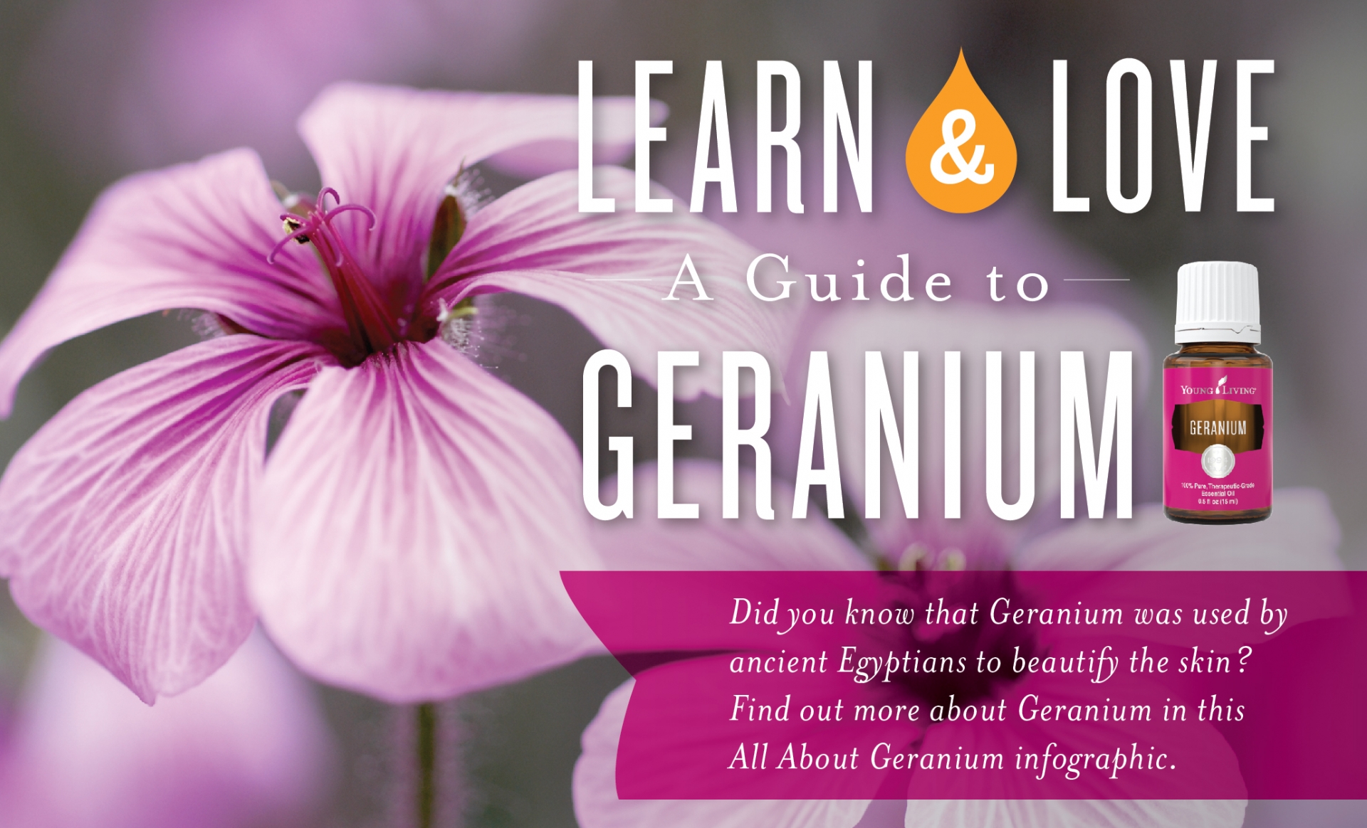 How to use Geranium essential oil