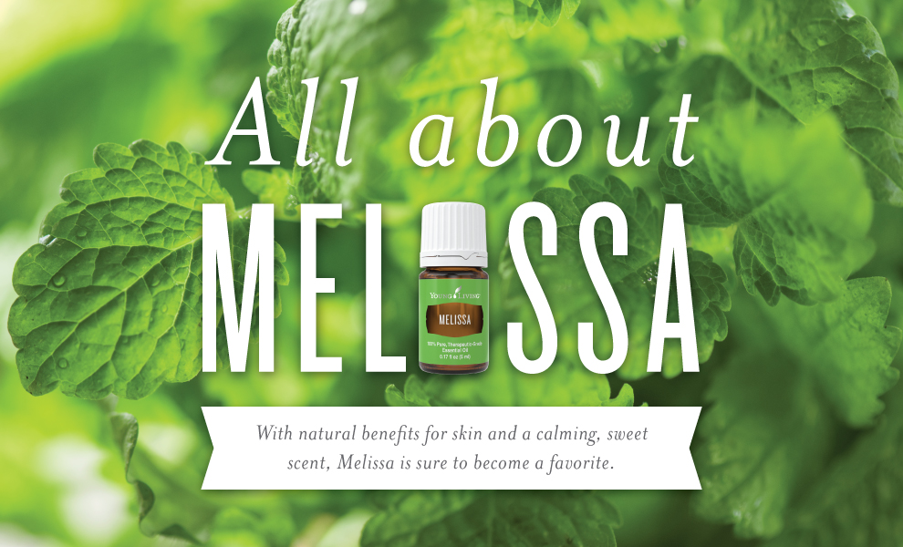 All About Melissa Essential Oil