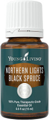 Northern Lights Black Spruce