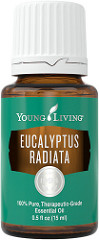 Minyak esensial Eucalyptus radiata