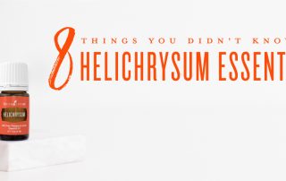 Helichrysum Essential Oil Uses