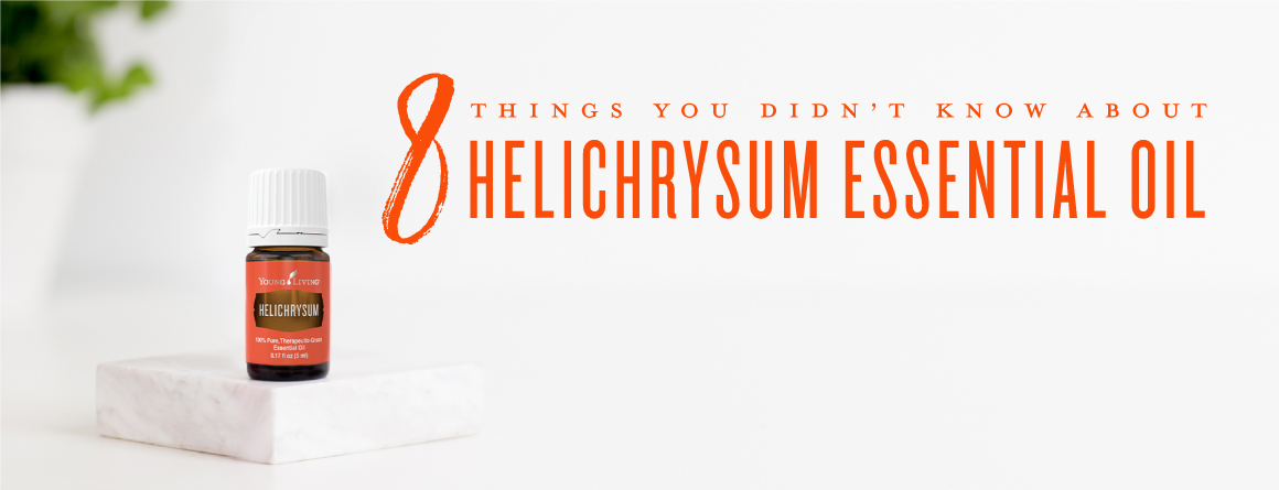 Helichrysum Essential Oil Uses