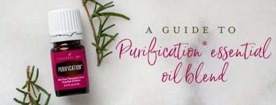 A guide to Purification essential oil blend | Young Living Blog