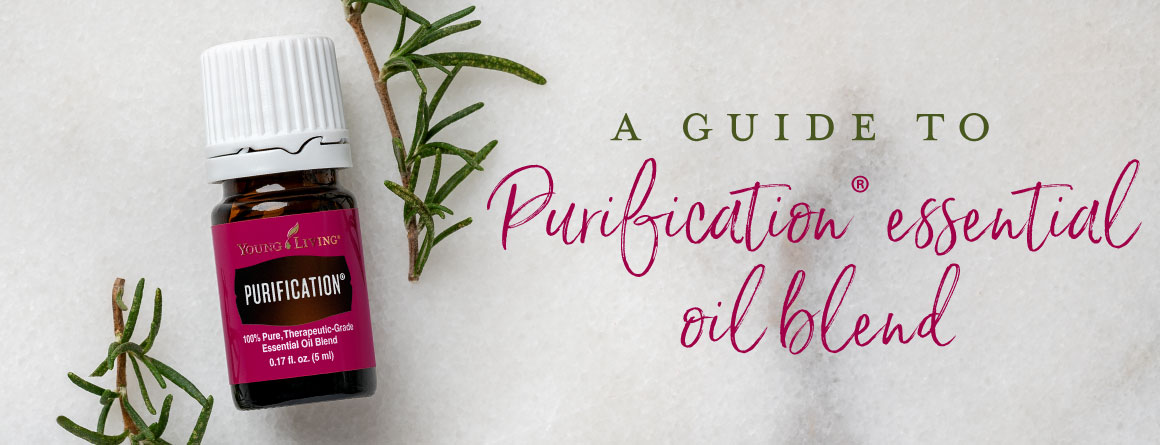 A guide to Purification essential oil blend