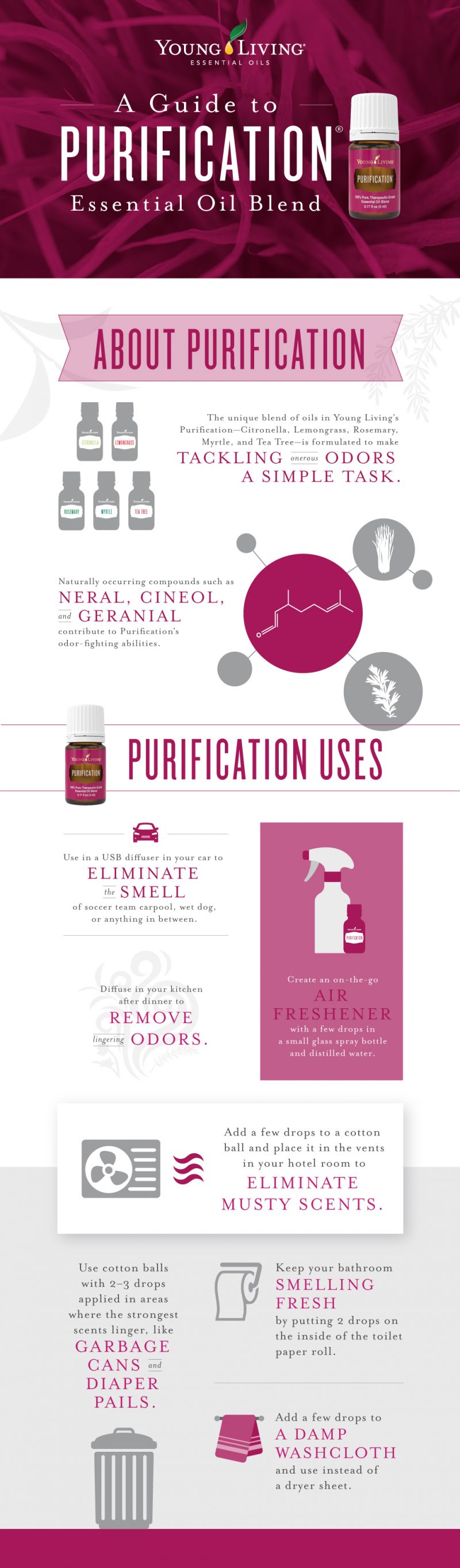 A guide to Purification essential oil blend Young Living Blog