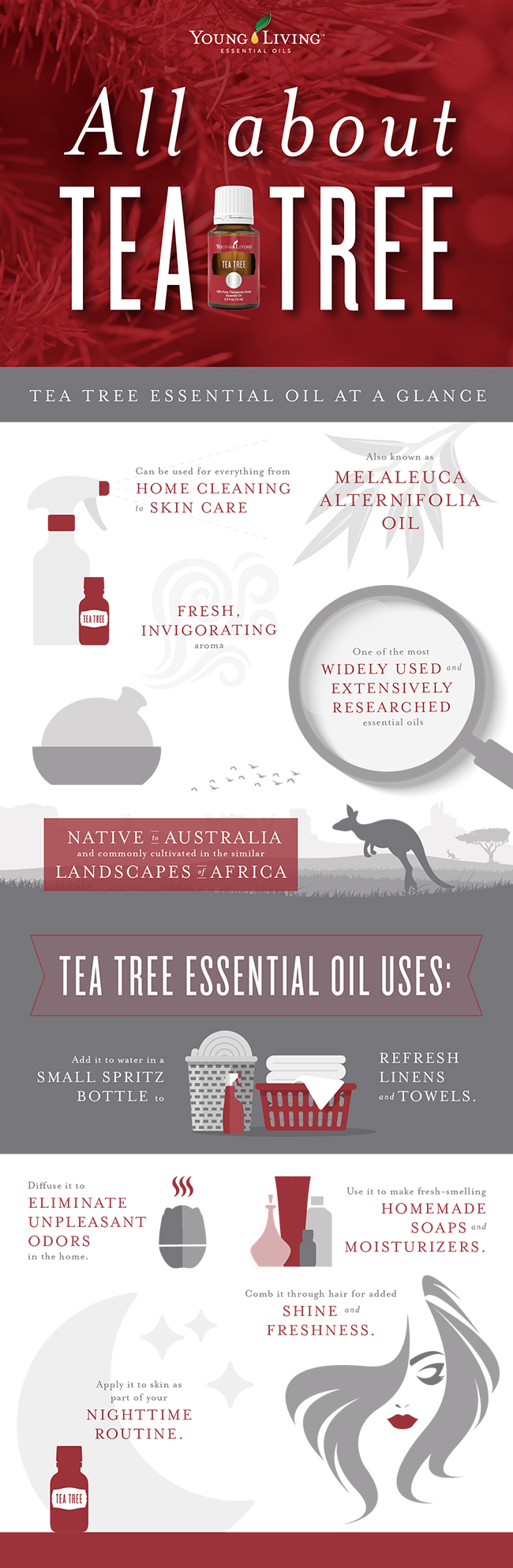 All about Tea Tree essential oil infographic All about Tea Tree essential oil infographic LMC3587