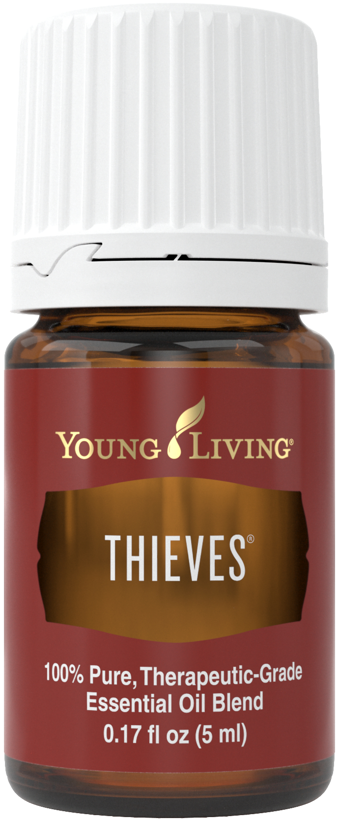 Everything you need to know about Thieves Essential Oil — Ivy+Light