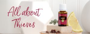 All about Thieves essential oil | Young Living essential oil