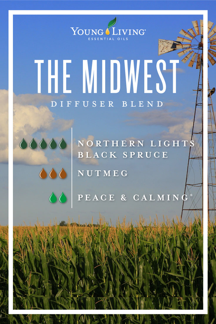 The Midwest essential oil diffuser blend