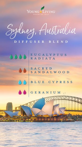 4 drops Eucalyptus Radiata essential oil 2 drops Sacred Sandalwood essential oil 2 drops Blue Cypress essential oil 2 drops Geranium essential oil