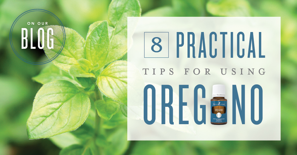 8 practical tips for using Oregano