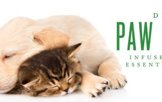 DIY paw balm with essential oils for pets