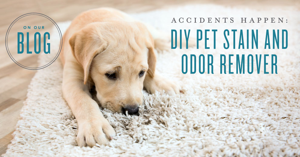 Accidents happen: DIY pet stain and odor remover infused with essential oils