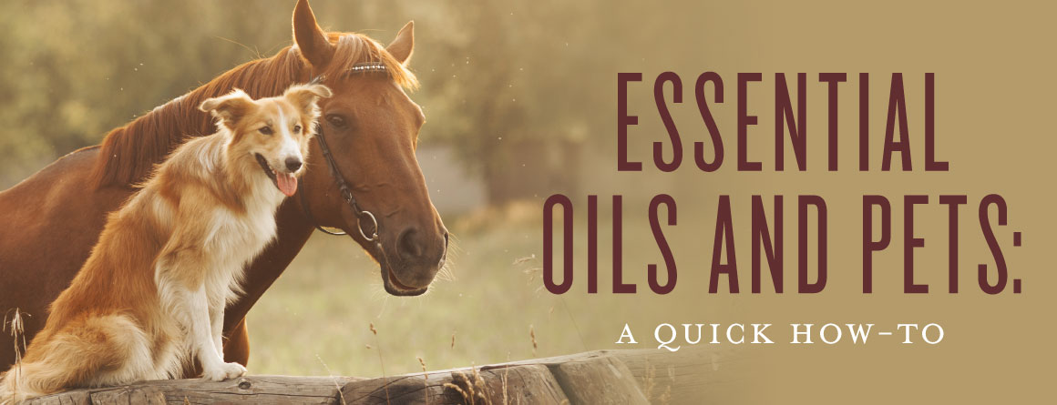 essential oils and pets safety