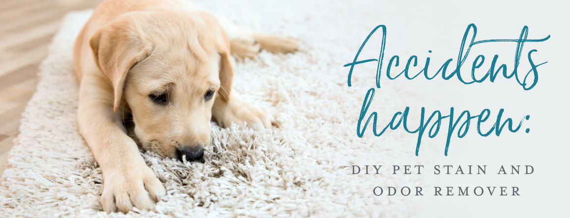 natural pet odor eliminator