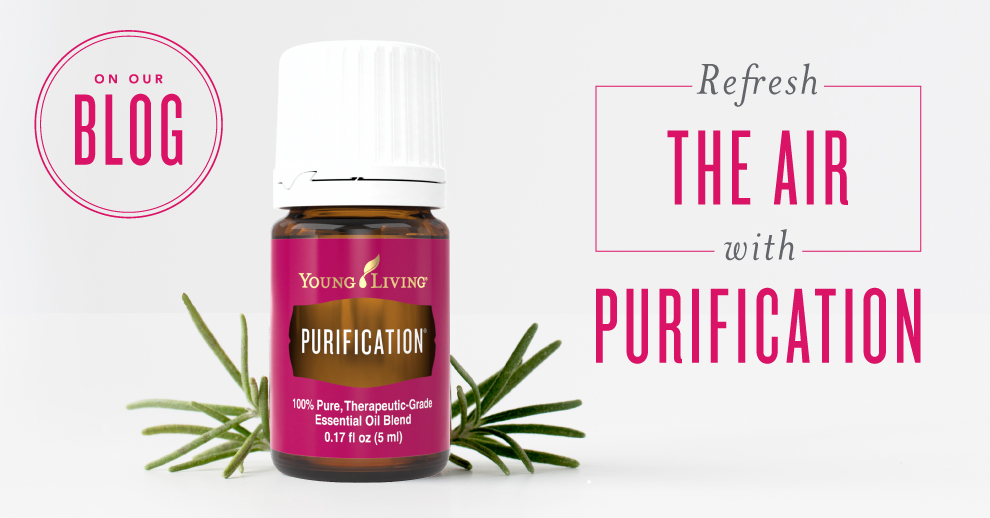 Young Living’s Purification essential oil blend uses and benefits